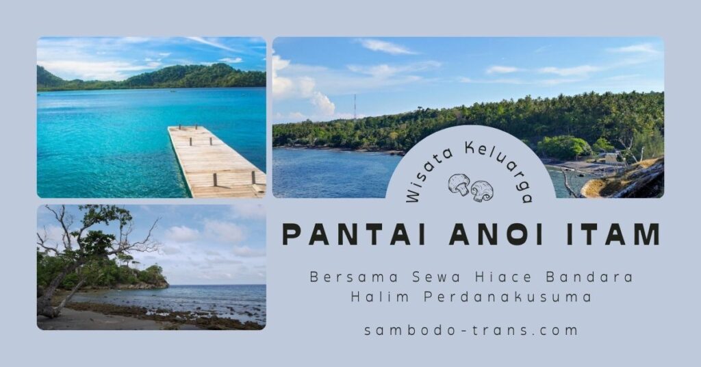 Sewa Hiace Bandara Halim Perdanakusuma