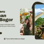 Sewa Hiace Tangerang Murah Liburan Seru ke Taman Safari Bogor Bersama Keluarga!