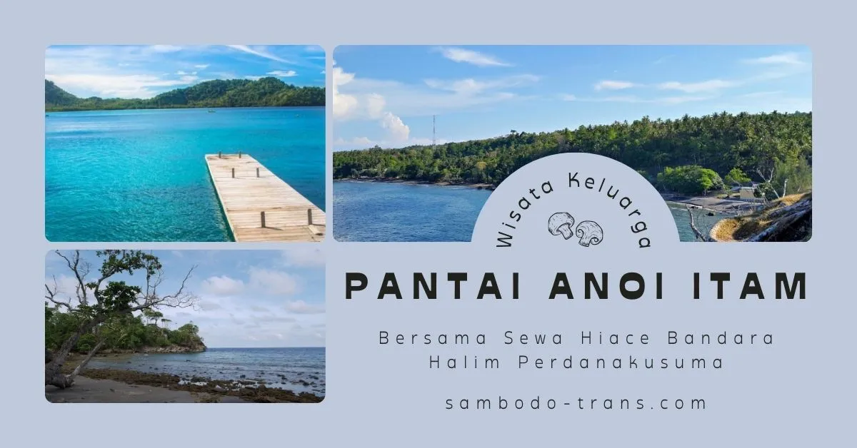 Sewa Hiace Bandara Halim Perdanakusuma