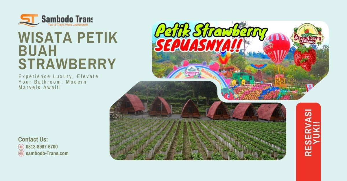 Sewa Hiace Premio Tangerang Selatan